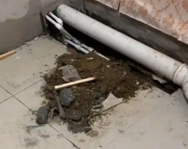 绥化市卫生间漏水检测哪家好