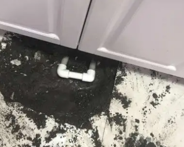 绥化市查漏水哪家好